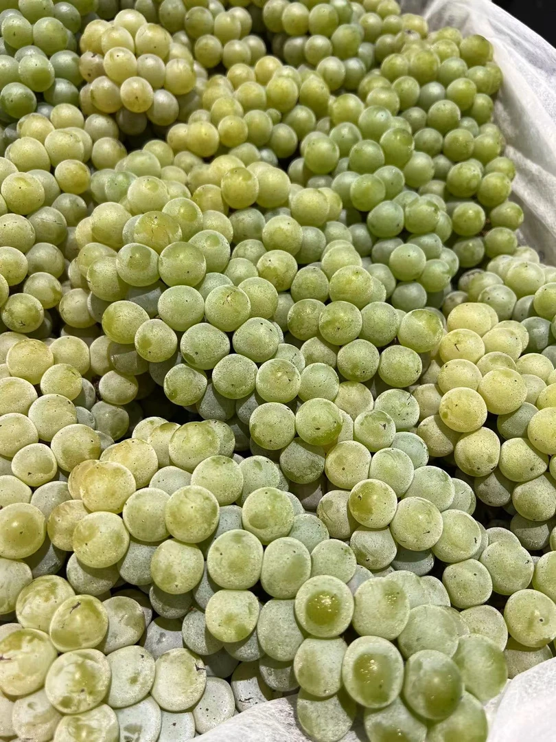 水晶葡萄【500g左右】葡萄同城送