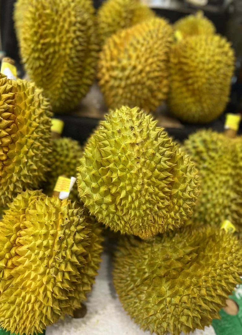 金枕榴莲