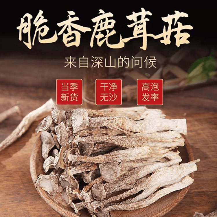 鹿茸菇特级B类干货无硫 鲜香 脆嫩 爽口爆炒脆脆菇