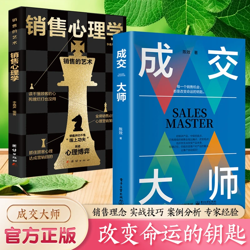 成交大师 实战销售软技巧 颠覆传统销售思维模式关键策略问题处理