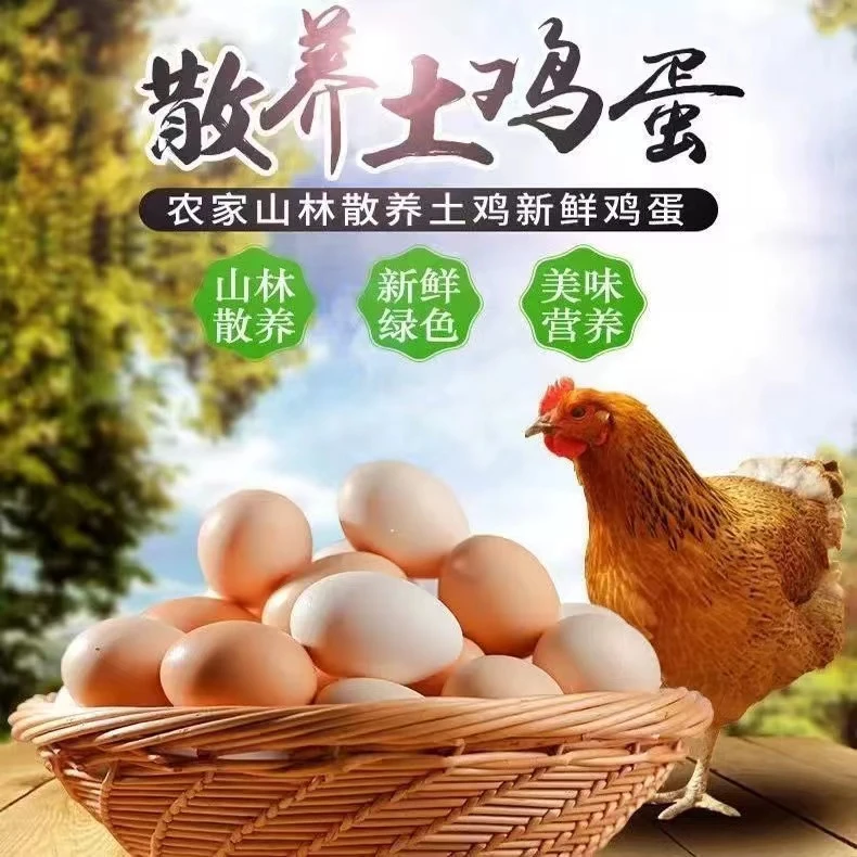 【云南泰瑞】精选 农家土鸡蛋