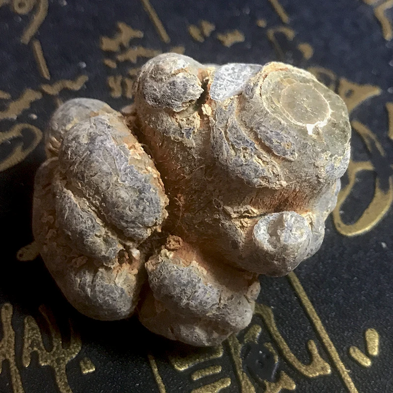云南特产=半野三七=正品半野十头三七250g/500g可打粉