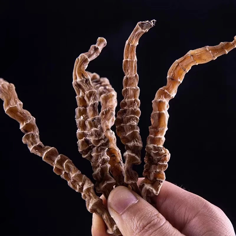 云南虫草参地参新鲜干货食用饱满煲汤大条新货地蚕草石蚕地笋干净