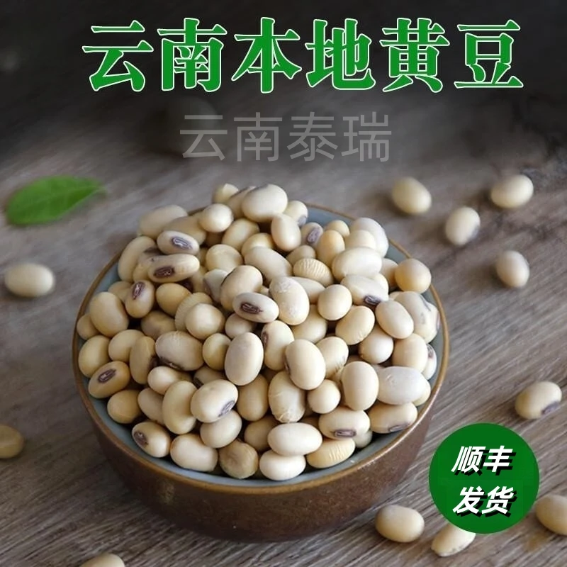 云南老品种本地黄豆打豆浆做豆腐煲汤发芽颗粒营养农家饱满种植
