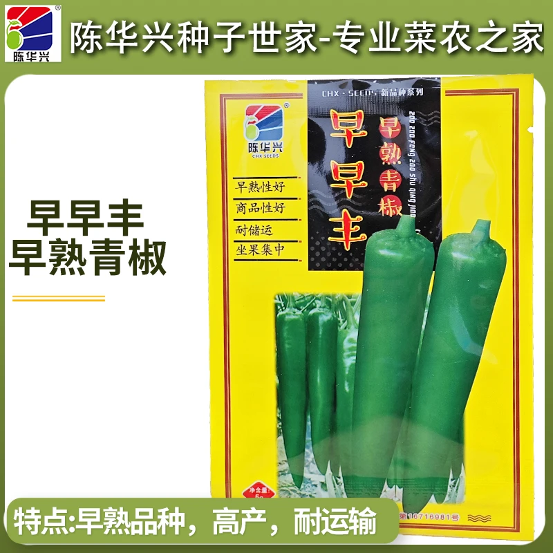 (基地种植)早早丰辣椒种子早早丰2号青椒种早熟耐热产量高耐运输