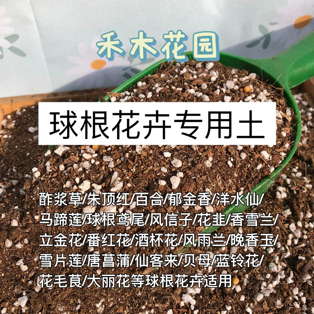 球根土花卉种植营养土 朱顶红郁金香百合酢浆草风信子种球通用土