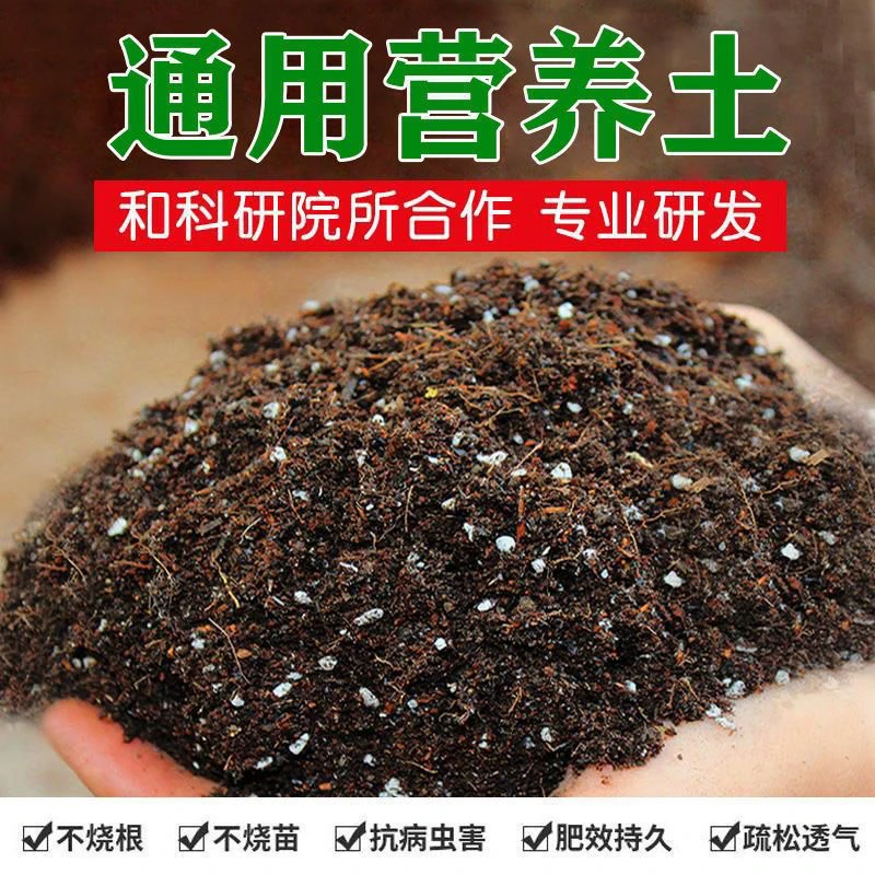 【5斤装】三角梅适用土疏松透气盆栽绿植专用室内植物营养土肥料