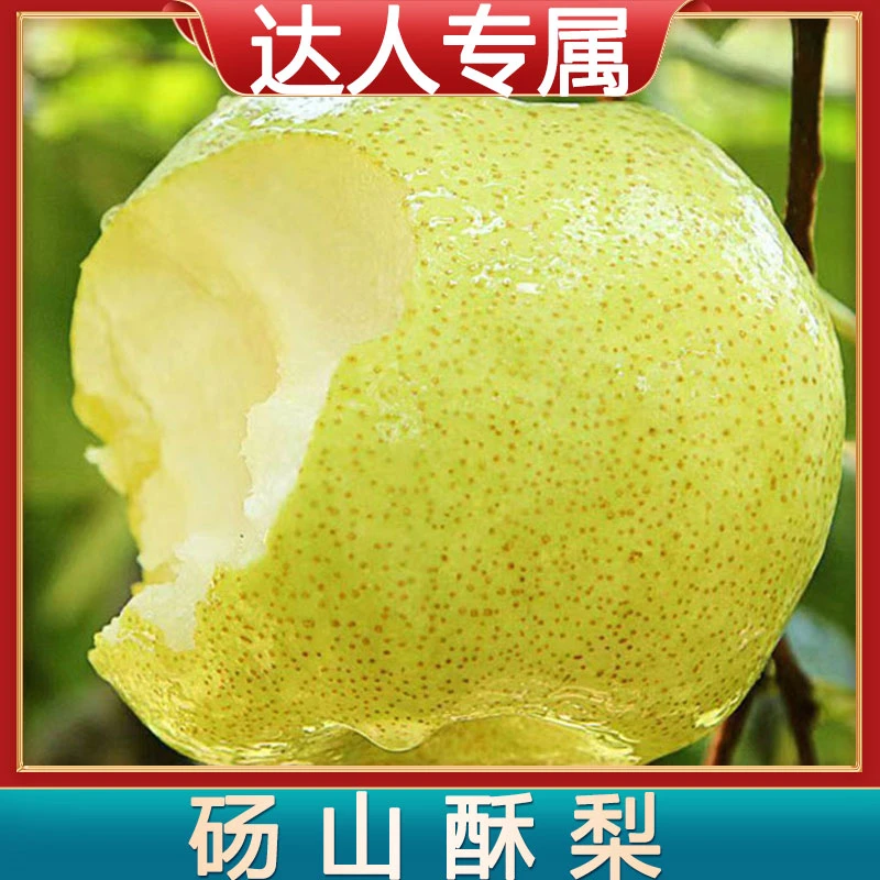 【达人专属】砀山酥梨当季水果采摘梨子青皮青梨整箱9斤装多汁