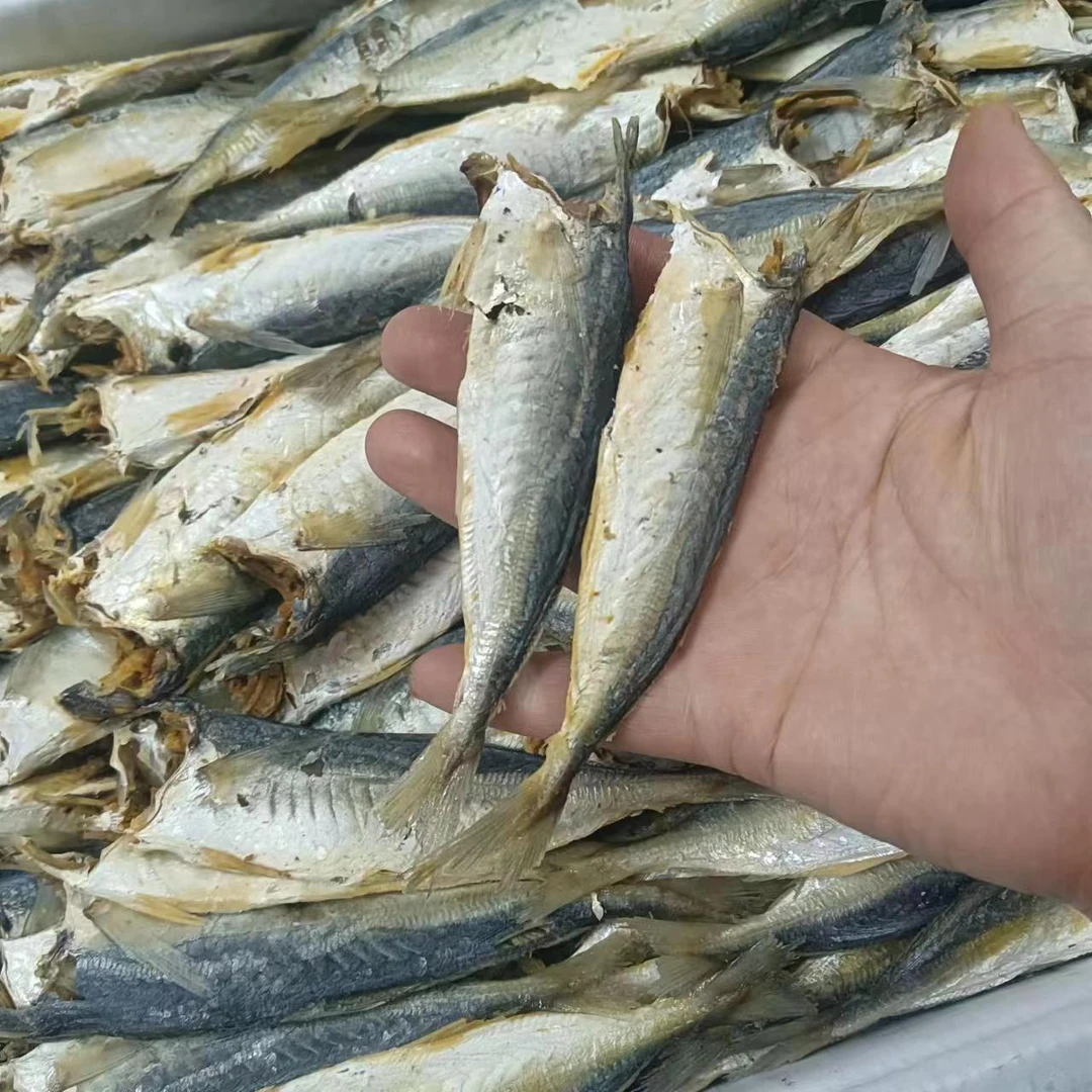 巴浪鱼新鲜海产干货鱼类干