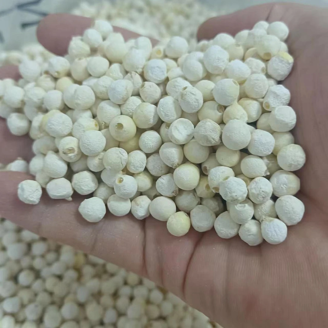 苏州芡鸡头米鲜干货苏芡颗粒清香农产品