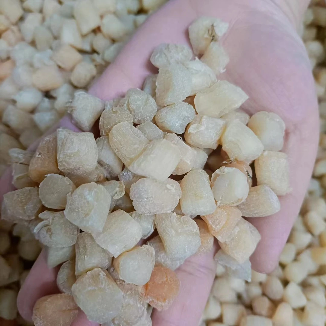 【9.5层干大个头】瑶柱干贝海鲜扇贝肉干货海产品鲜美精选