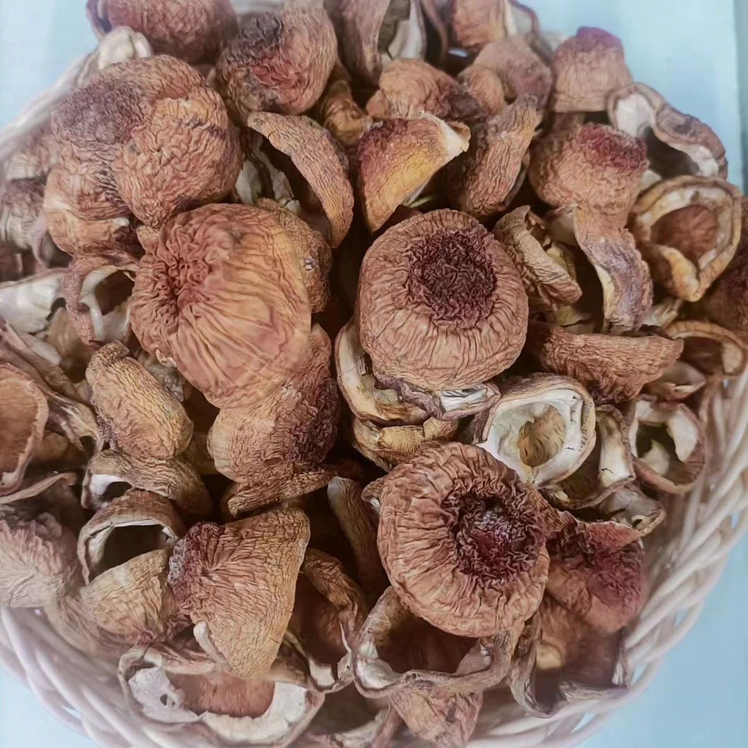 巴西菇 全菇帽不带脚，新鲜干货 500g