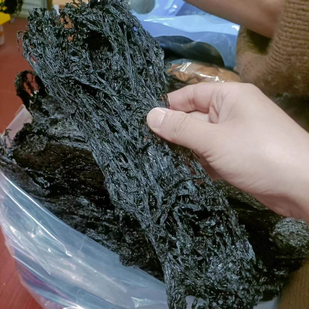 【活动】2023年霞浦头水紫菜无沙免洗紫菜尝鲜款干货装食用