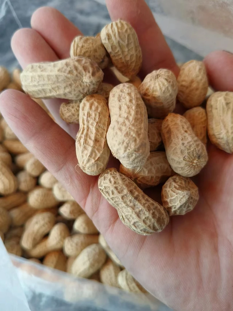 仙游本地水煮日头晒花生农家自种花生农家花生