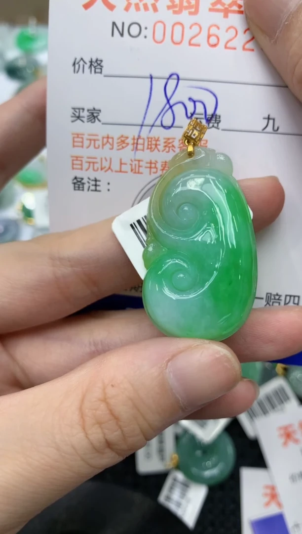 【闪购商品】翡翠颈饰18K金镶嵌11111111