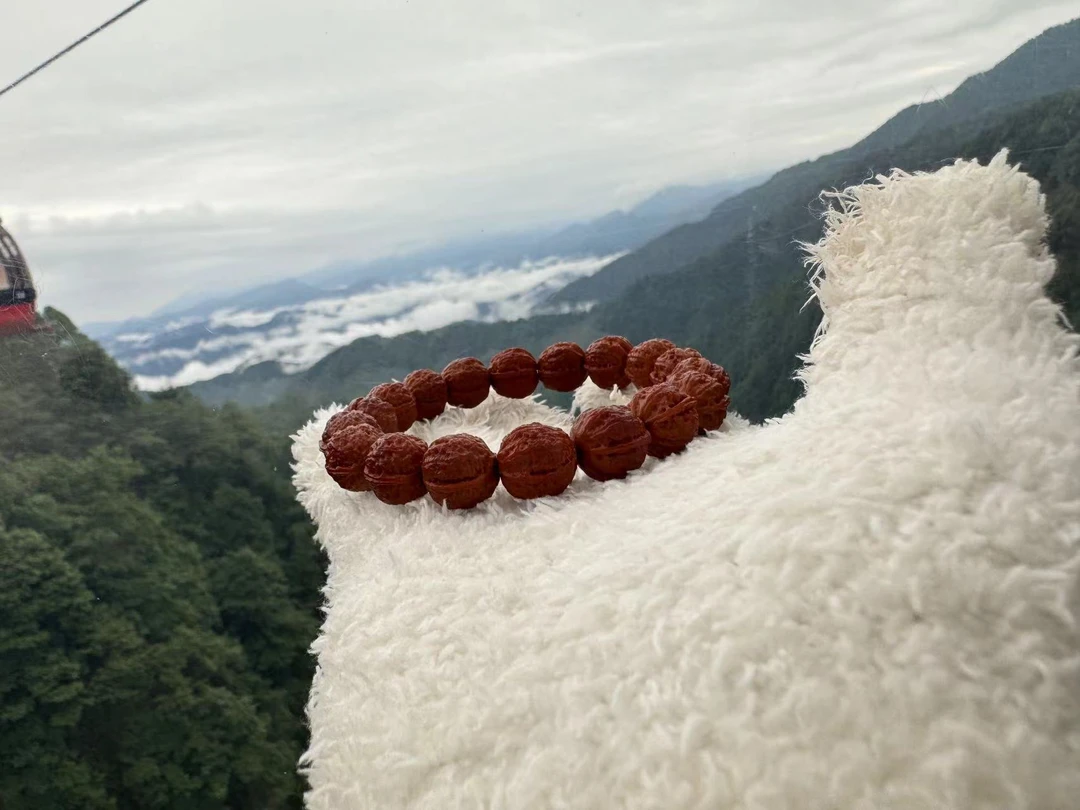 野生小核桃直播间选货专用链接，（多样性发货，发其一）