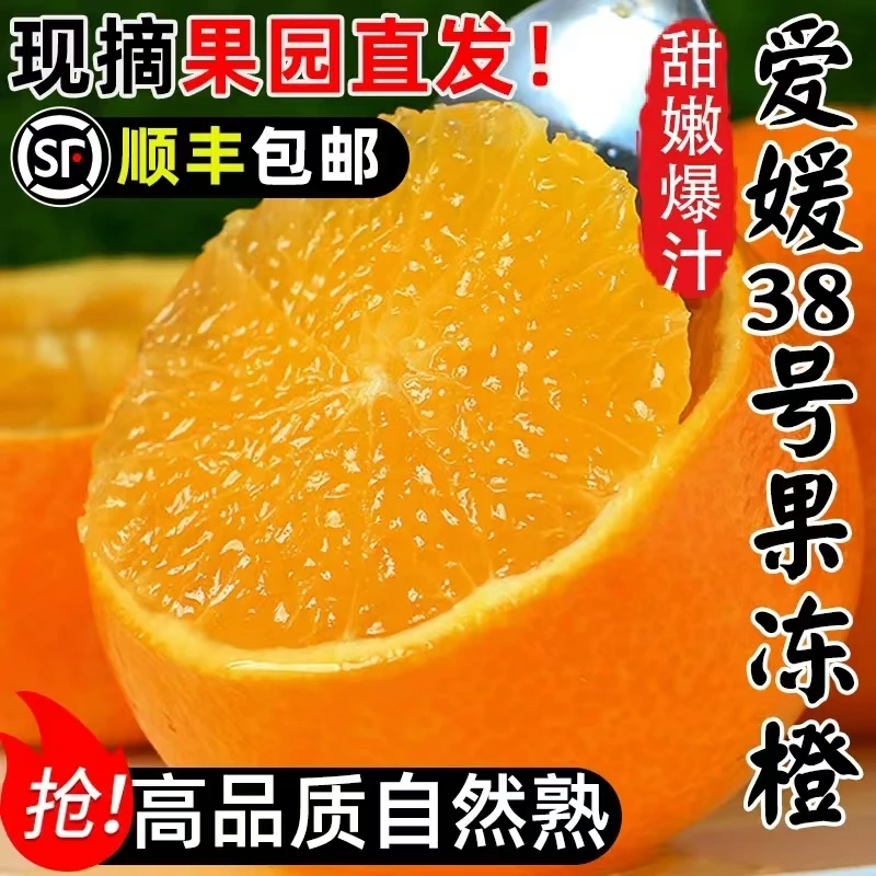 【毛重约5斤】（精）A+爱媛果冻橙 眉山产地直采 皮薄肉厚爆汁