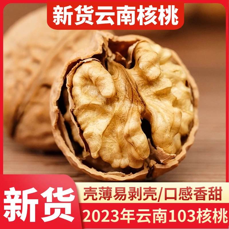 采云行者核桃果 云南核桃2023年新货核桃楚雄大姚103核桃薄壳易剥