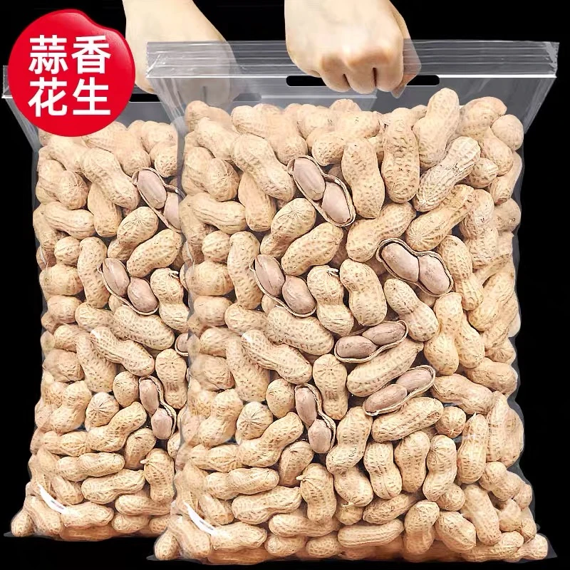 当季新货【蒜香花生】龙岩带壳水煮奶蒜香花生米熟晒干解馋零食炒货