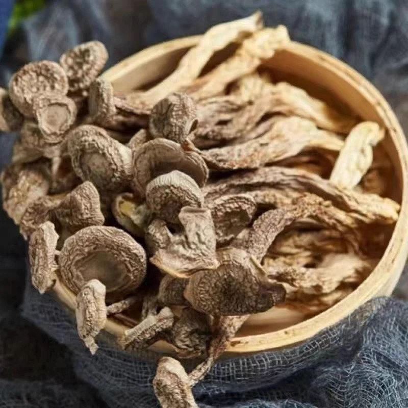 鹿茸菇干货鹿茸菌特级新鲜非野生脆脆菇干姑产煲汤250克蘑菇