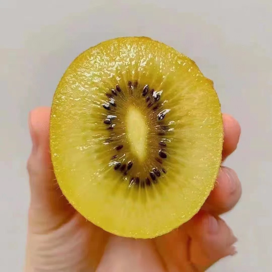 品牌金果猕猴桃（坏果包赔）