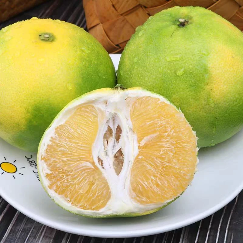 翡翠青蜜柚礼盒《惠鲜》