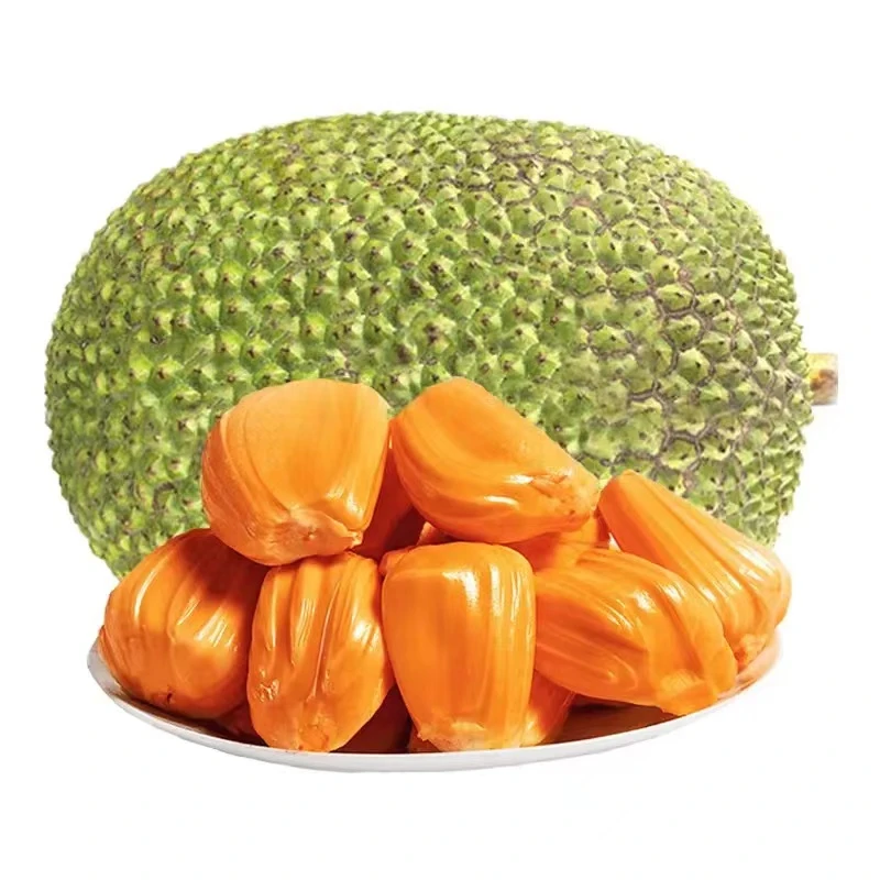 印尼红宝石菠萝蜜《惠鲜水果》