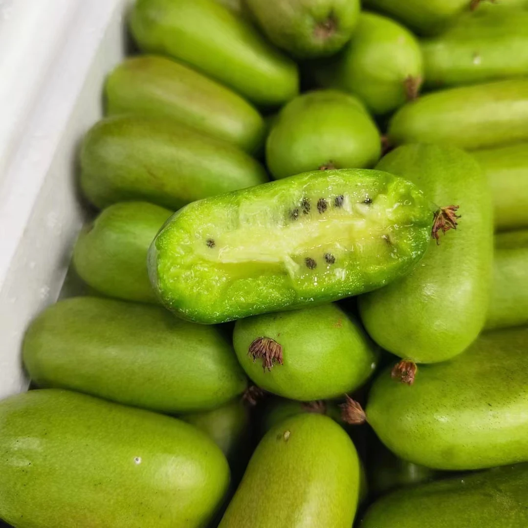 软枣子猕猴桃《坏果包赔》