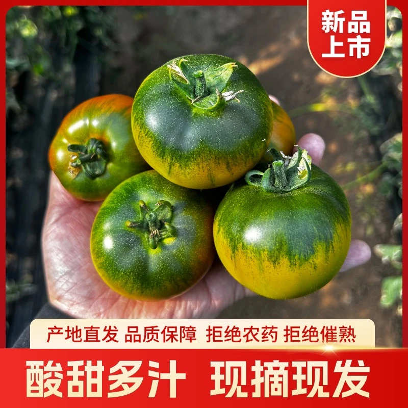 正宗铁皮柿子水果西红柿草莓柿子3斤5斤新鲜现摘口感酸甜多汁