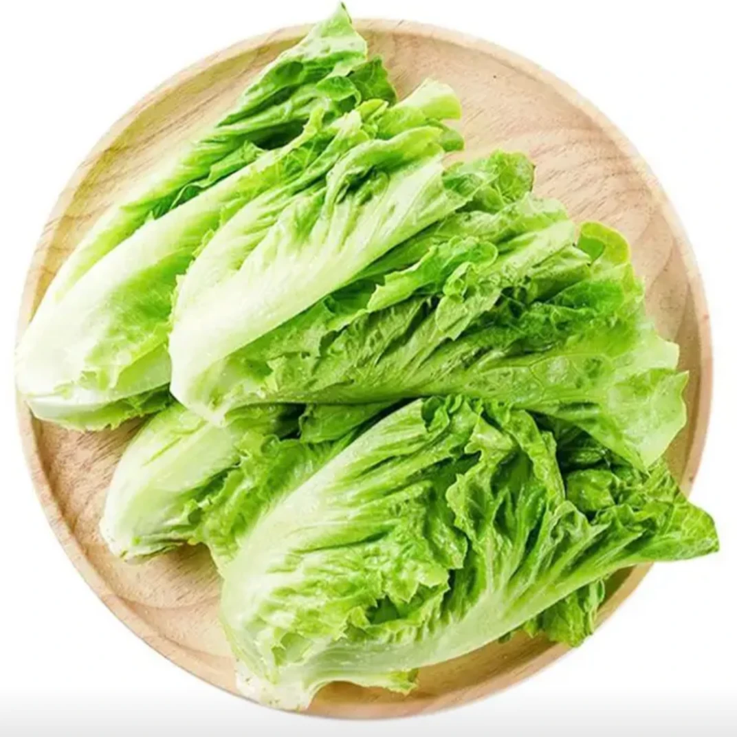 产地直发罗马生菜300克±30g/份