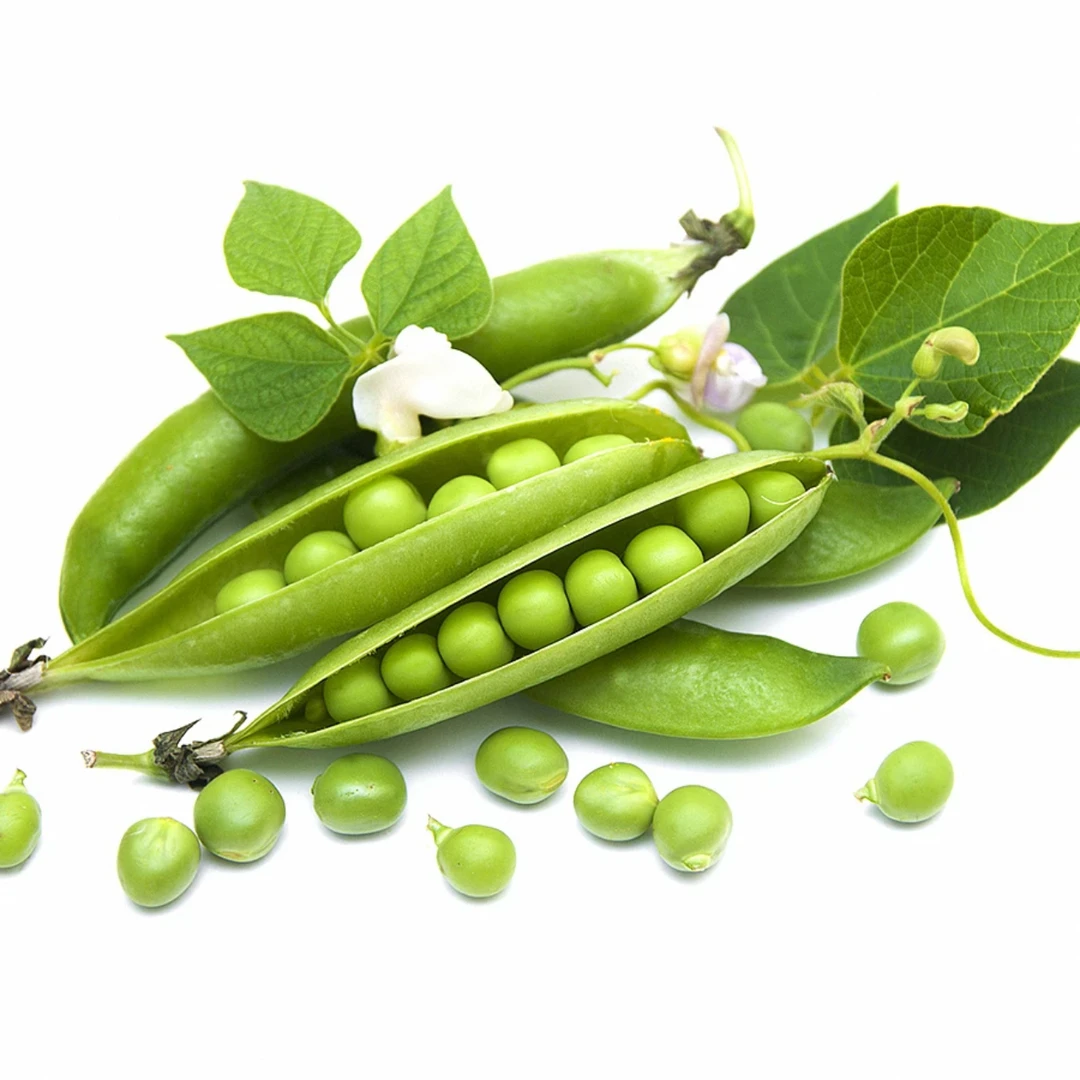 云南直发鲜豌豆约400g±20g/份（皮泛黄正常）