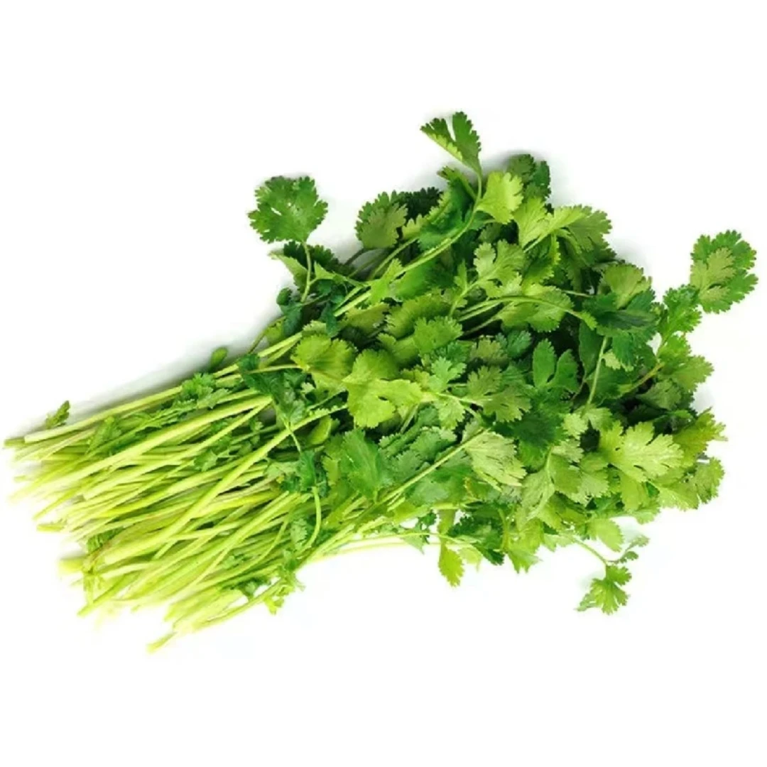 地产大香菜约100g±10g/份