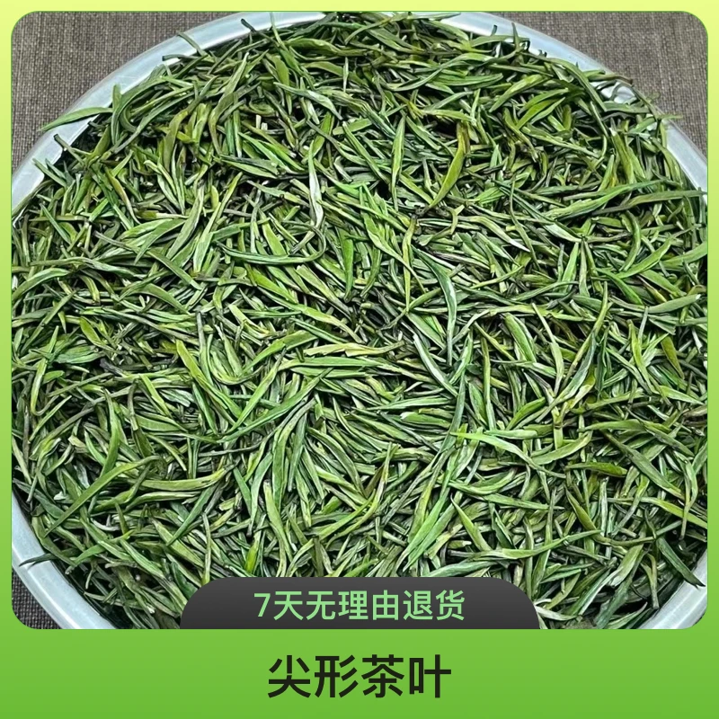 川竹叶茶青茶春茶【品竹】2025新茶 明前绿茶叶批发 毛尖茶 峨眉山