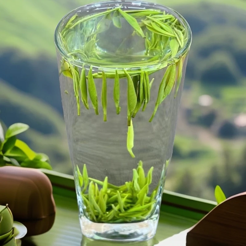 川竹叶茶青茶【竹韵】2025新茶 明前绿茶 毛尖茶 峨眉山茶500g250g