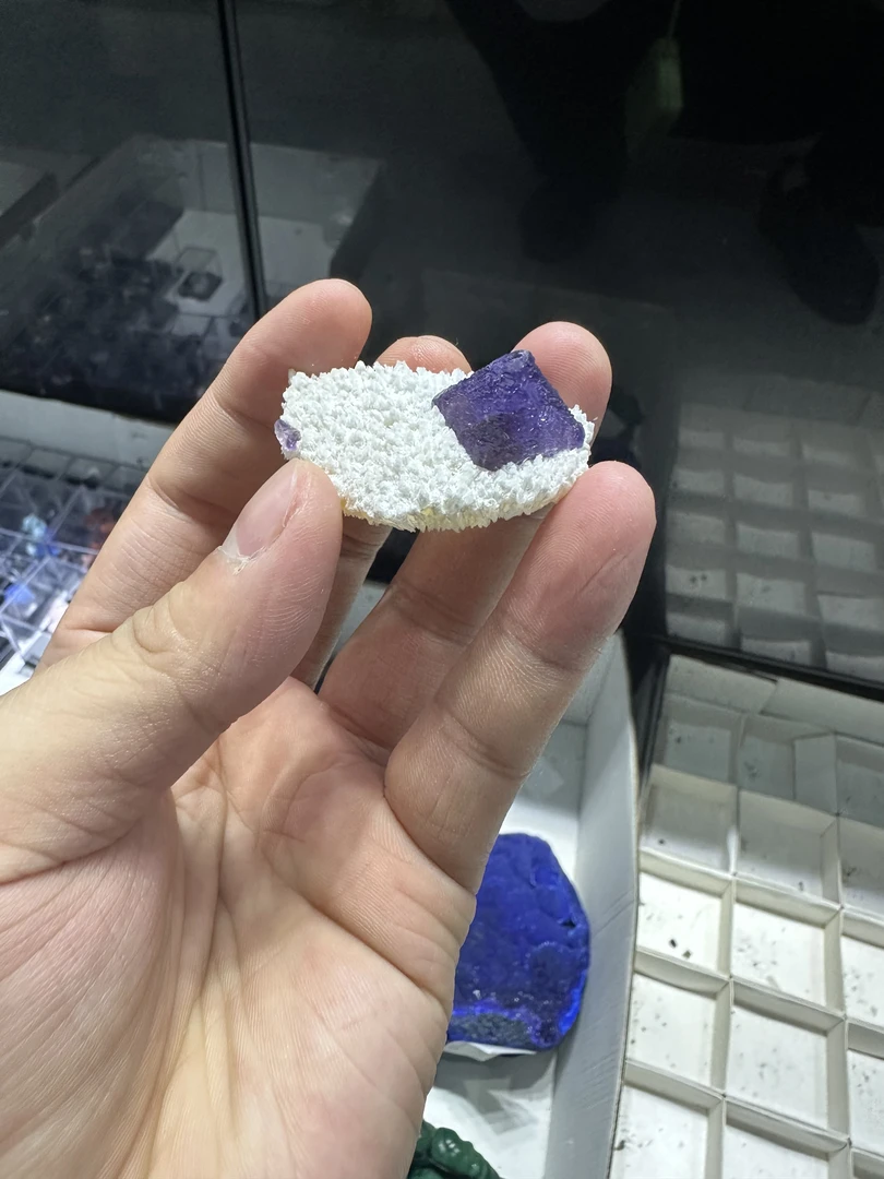 摆件，直播商品专用链接