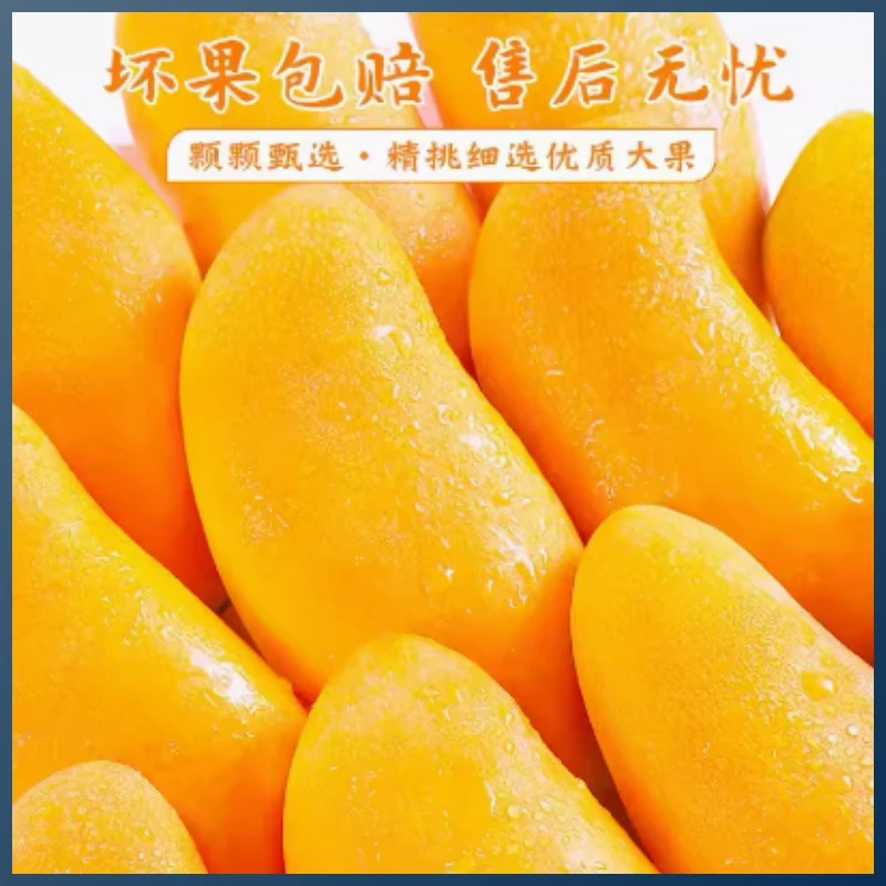 【现摘】正宗海南金煌芒4.5/5/8斤产地直发水仙芒香甜多汁芒果