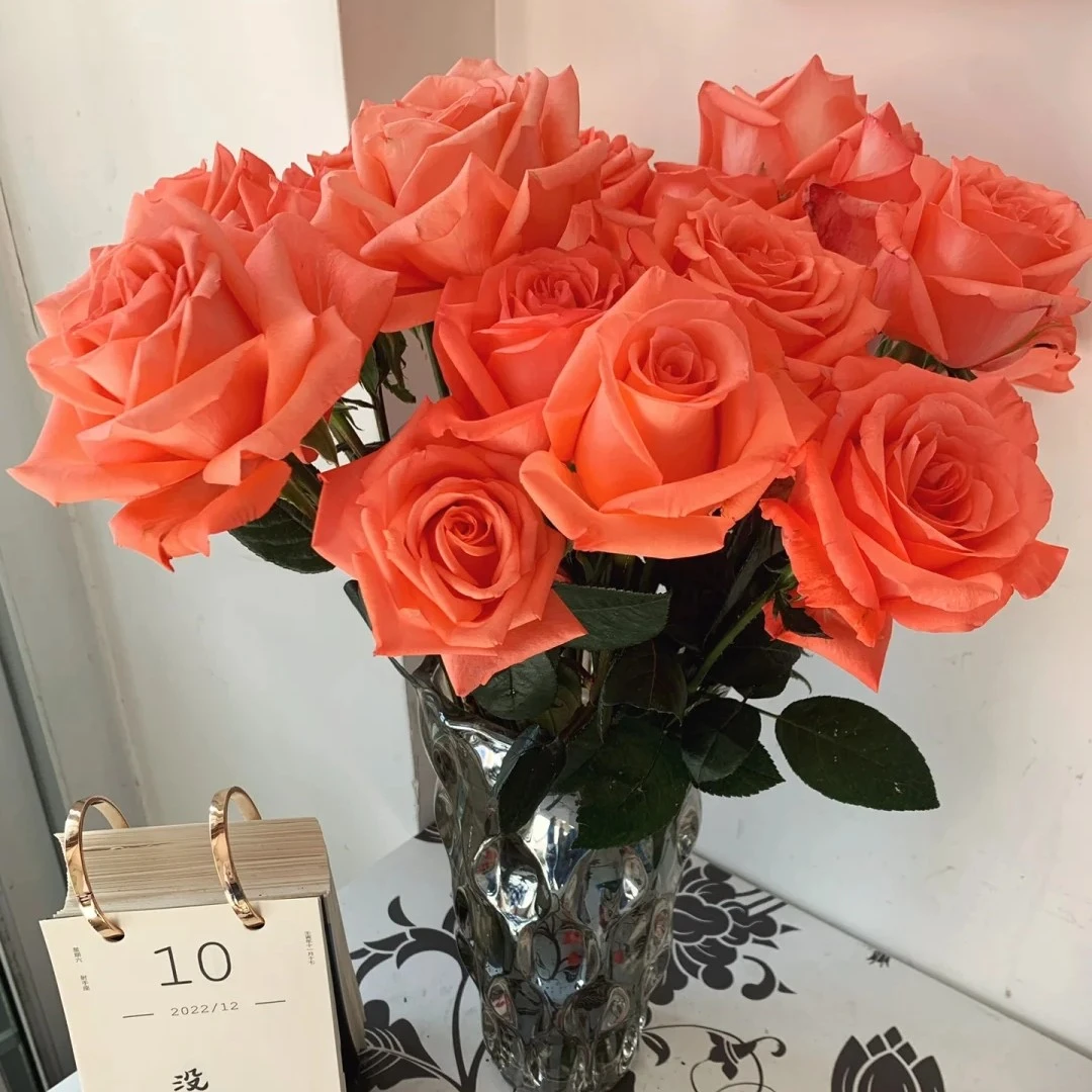 影星玫瑰【50+10支为防损 】顺丰包邮云南鲜花基地直发