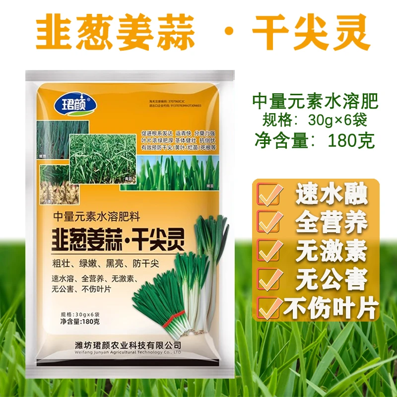 干尖灵韭葱姜蒜粗壮绿嫩黑亮防干尖全营养不伤叶片水溶肥农业产品