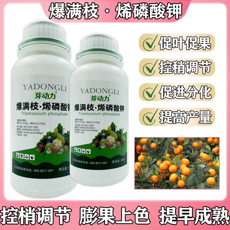 芽动力爆满枝烯磷酸钾膨果上色促分化防畸形控梢控旺增产通用型肥
