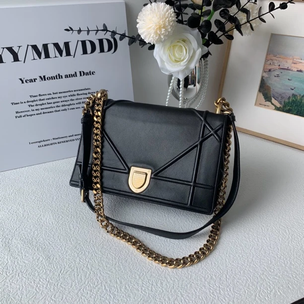 95新 DIOR/迪奥 黑色盾牌单肩斜挎包