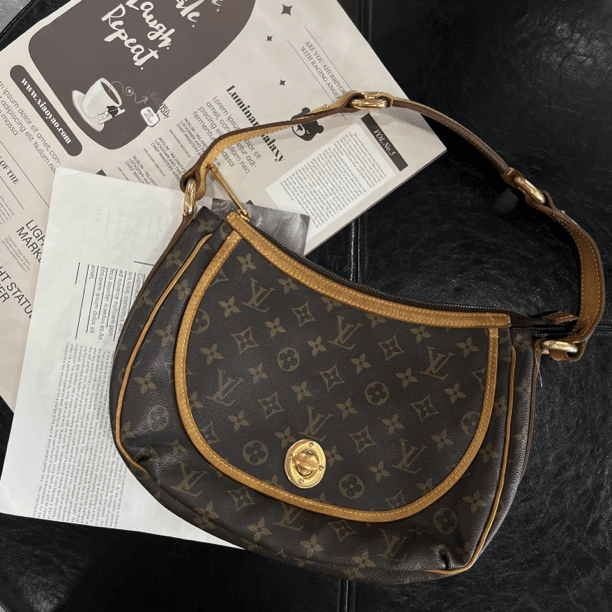 95新 LouisVuitton/路易威登 经典老花金豆单肩包