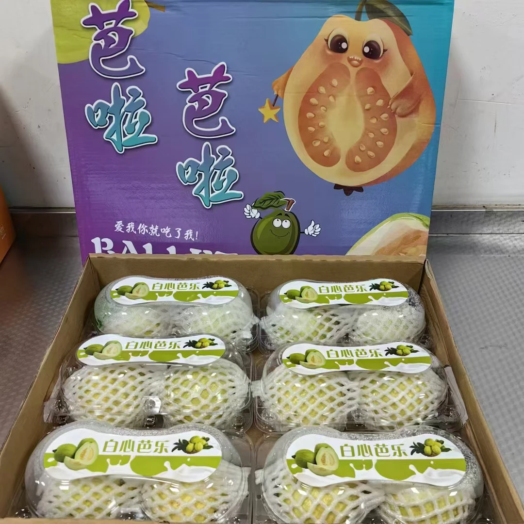 【芭啦芭啦奶油芭乐】 白心芭乐整箱带箱7斤左右