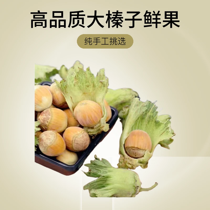 大榛子鲜果3斤包邮（送开果器）