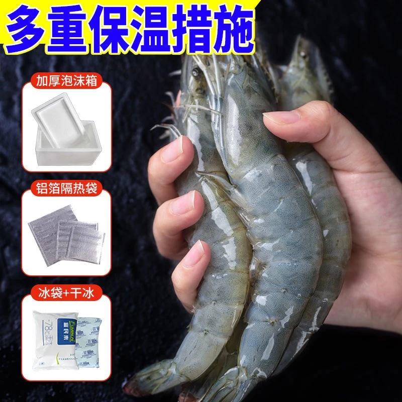 残虾 海捕野生大对一斤12个头左右