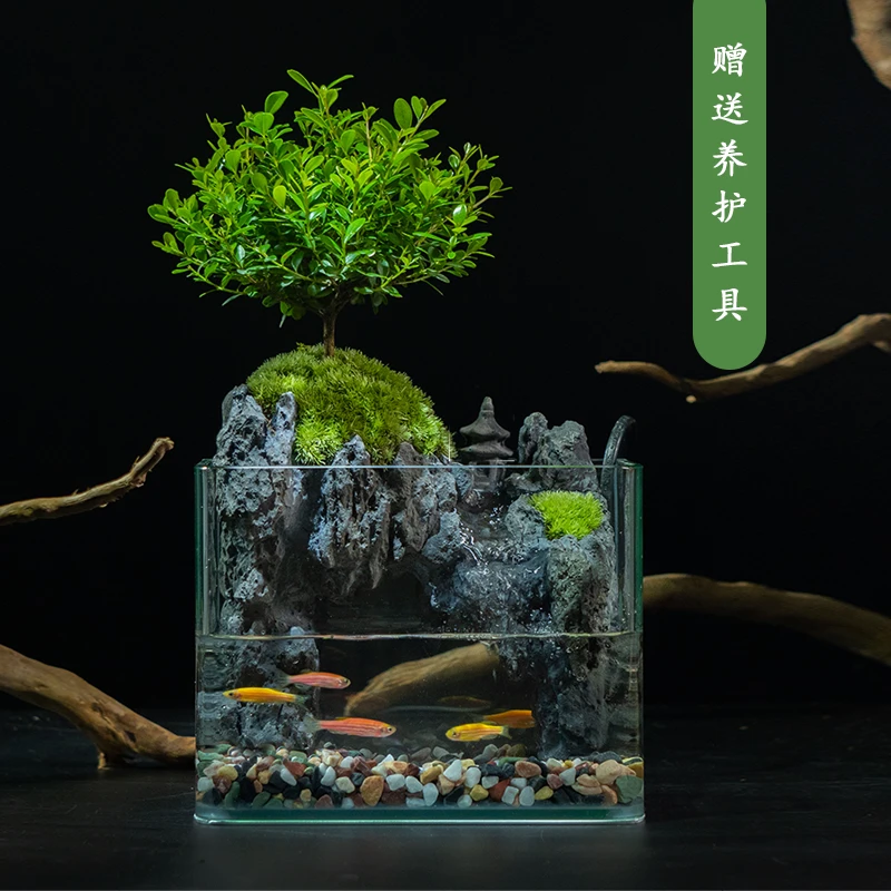 【溪亭】国风山水摆件山水画 小叶赤楠桌面景观懒人植物18*13*15