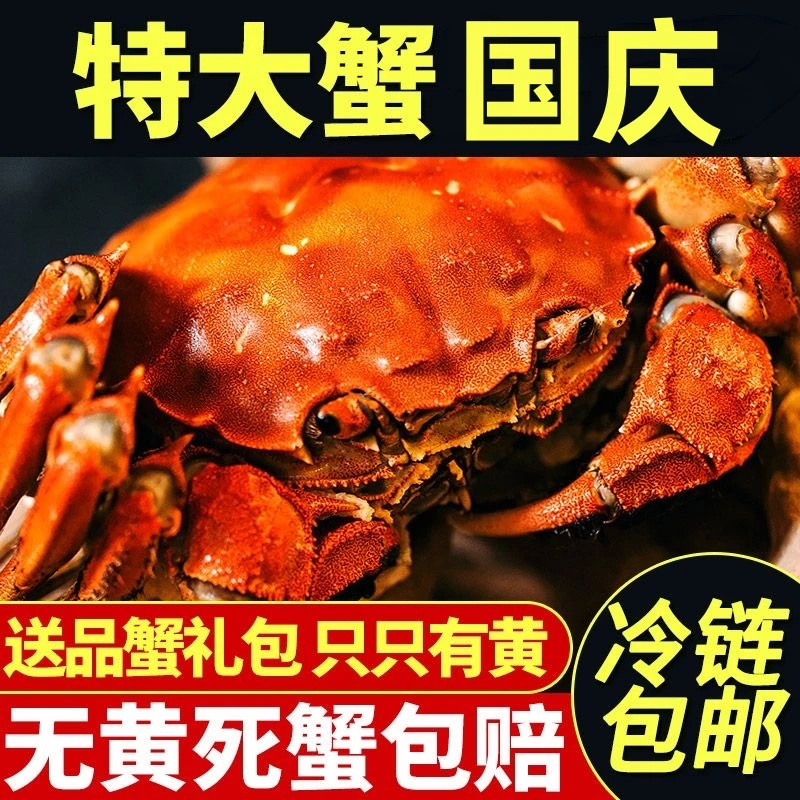 【阳澄湖大闸蟹】2088大闸蟹公母活塘蟹阳澄湖3只公5两3只母3.5两