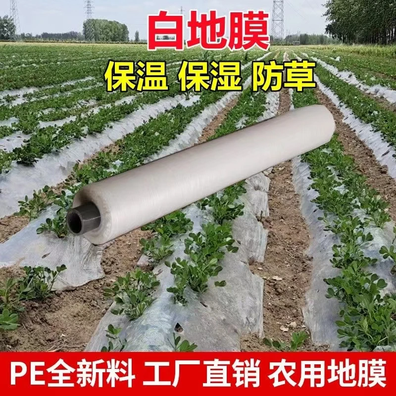 农用白色地膜塑料薄膜小拱棚保温保湿蔬菜大棚育苗种植玉米加厚