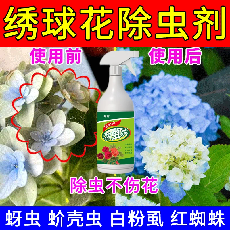 绣球花专用除虫剂营养液球兰大丽花天竺葵红蜘蛛介蚧壳虫蚜虫肥料