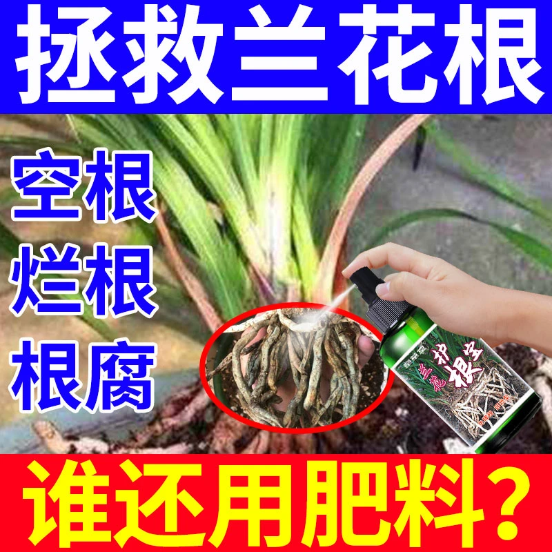 【急救型】兰花护根宝防治兰花烂根空根软腐病茎腐病专用爆芽生根剂