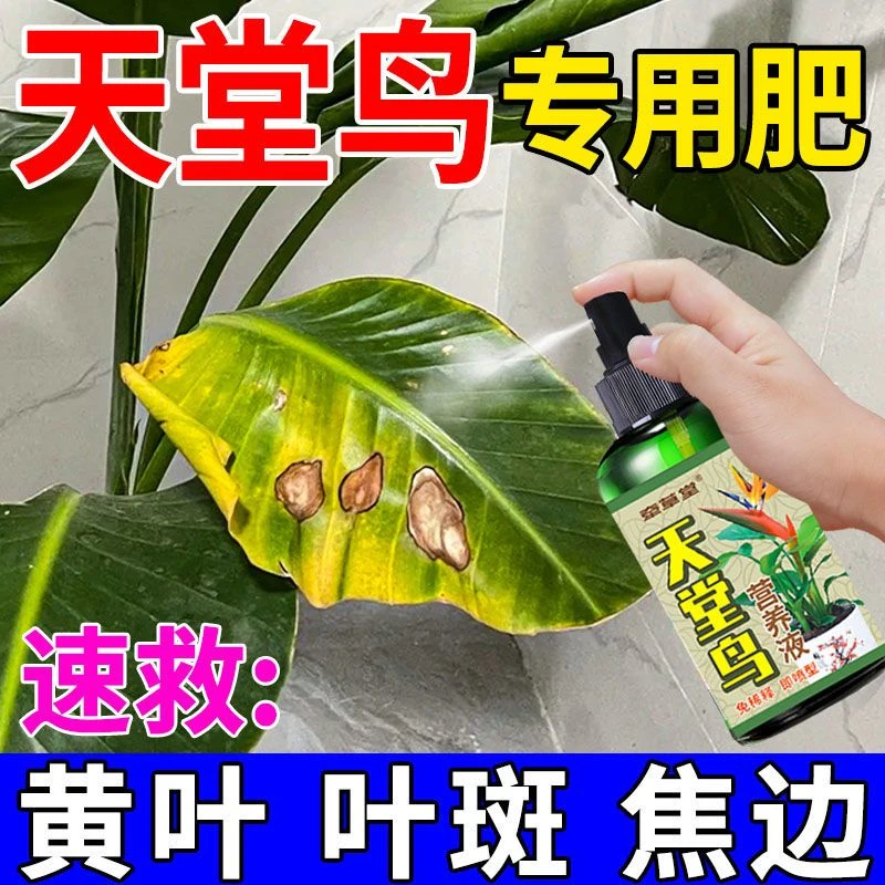 天堂鸟专用营养液防叶片焦边卷叶发黄干尖烂根绿植盆栽促开花肥料